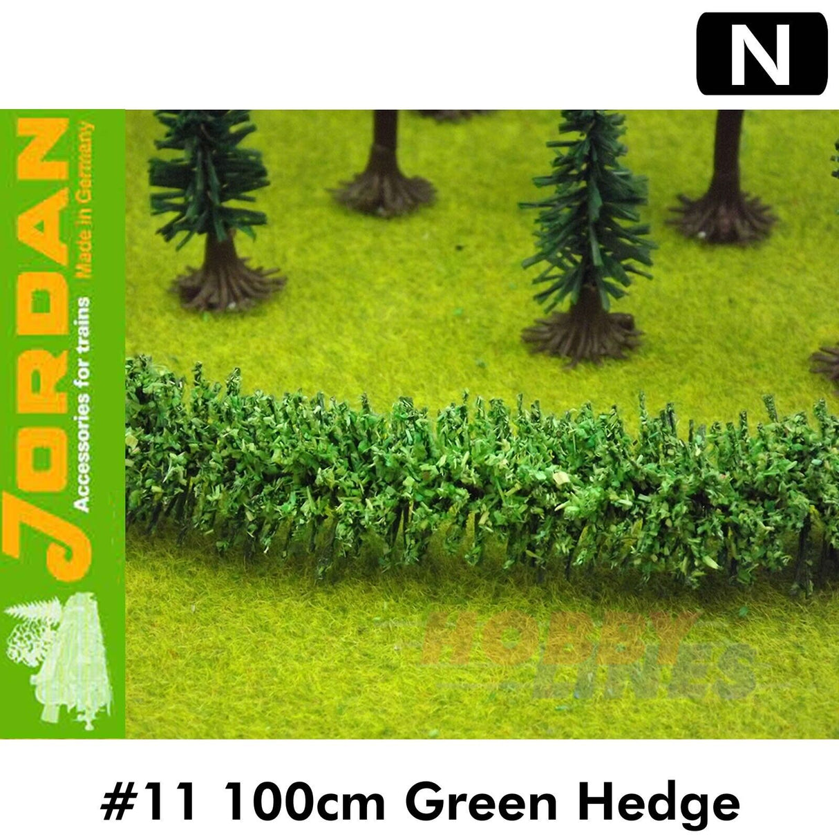 #11 100cm Green Hedge | Jordan | 59555