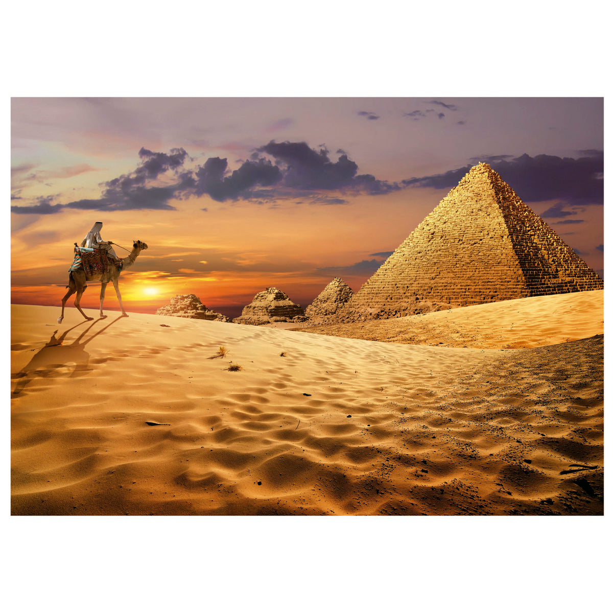 Camel In The Desert 1000 Piece Jigsaw Puzzle | Educa | 19643