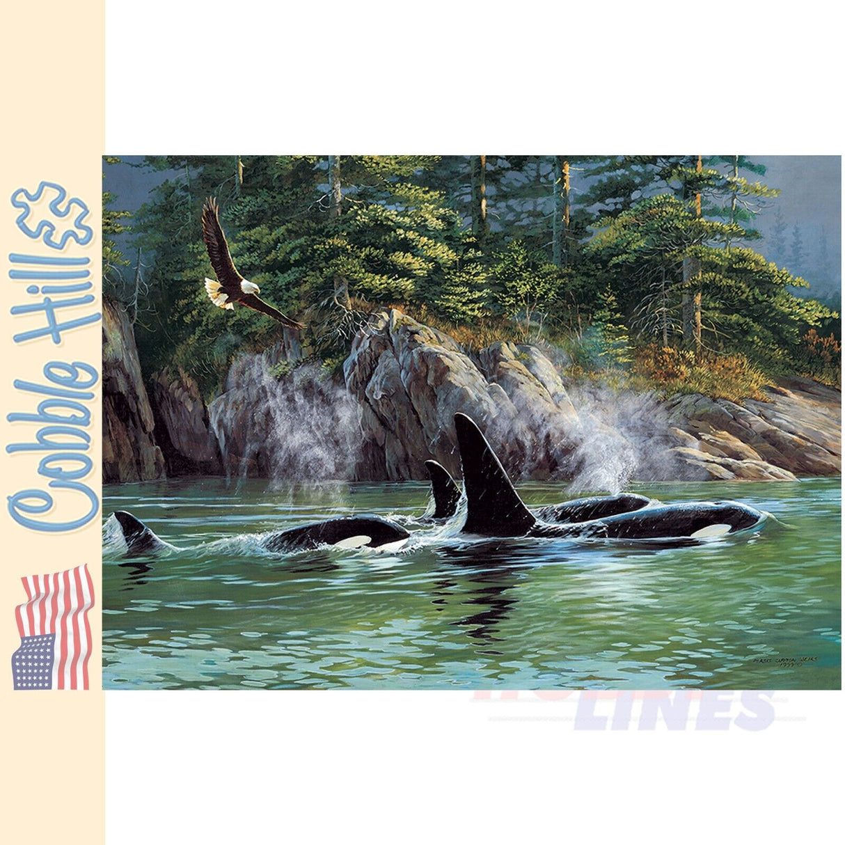 Orcas Cobble Hill puzzle 1000pc CH40183