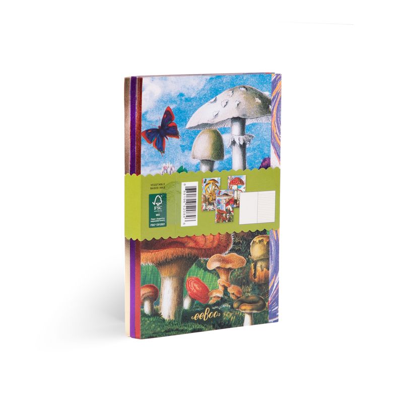 Fumiha’s Little Book Set | eeBoo | LBNBK1