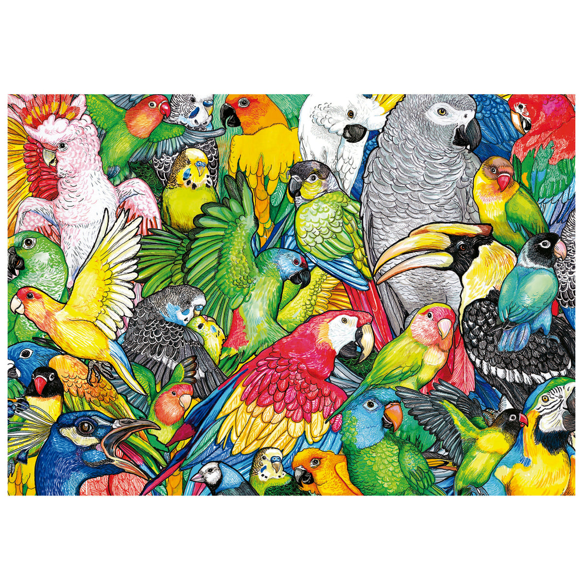 Parrots 500 Piece Jigsaw Puzzle | Educa | 19547