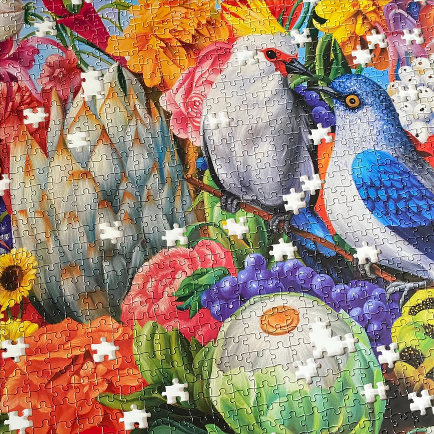 eeBoo MAGICAL FRUITS 1000 pc Square Jigsaw Puzzle Birds Super Deluxe PZTMGF