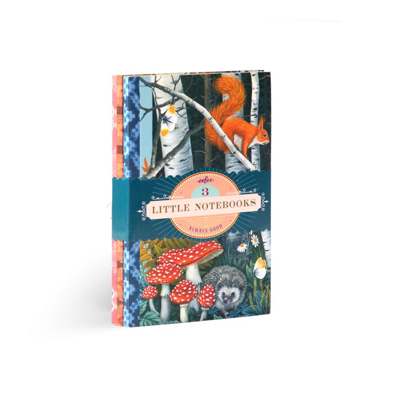 Vasilisa Little Book Set | eeBoo | LBN532