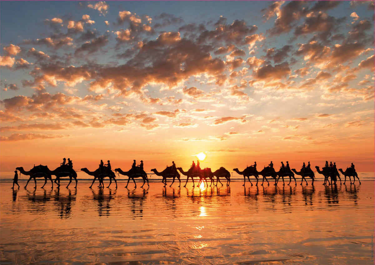 Golden Sunset At Cable Beach 1000 Piece Jigsaw Puzzle | Educa | 18492