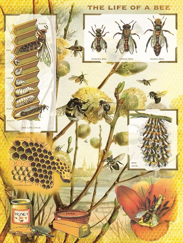 Bees & Honey 1000pc Puzzle | New York Puzzle Company | NPZPD2416