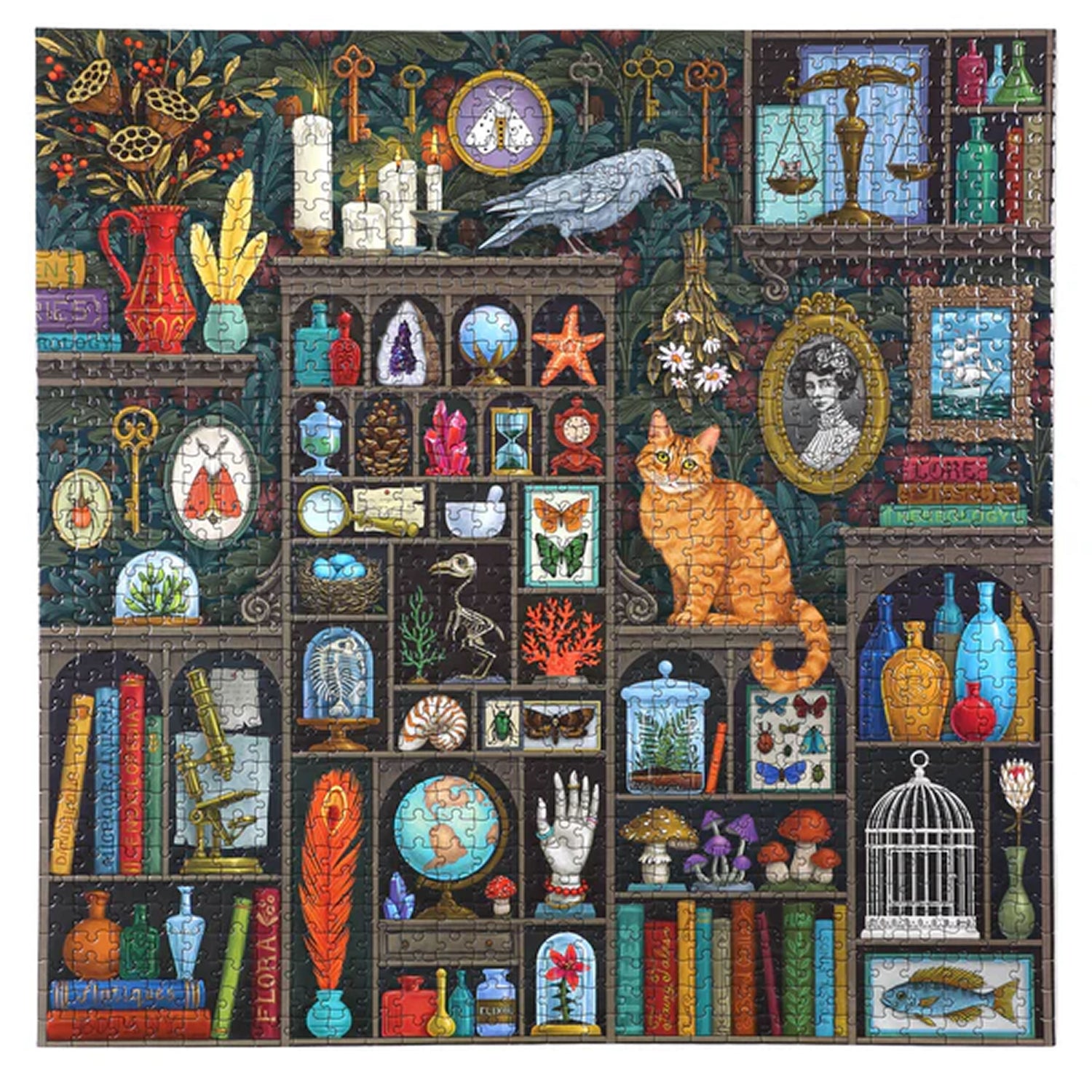 eeBoo ALCHEMISTS CABINET 1000 pc Square Jigsaw Puzzle Super Deluxe PZTALC