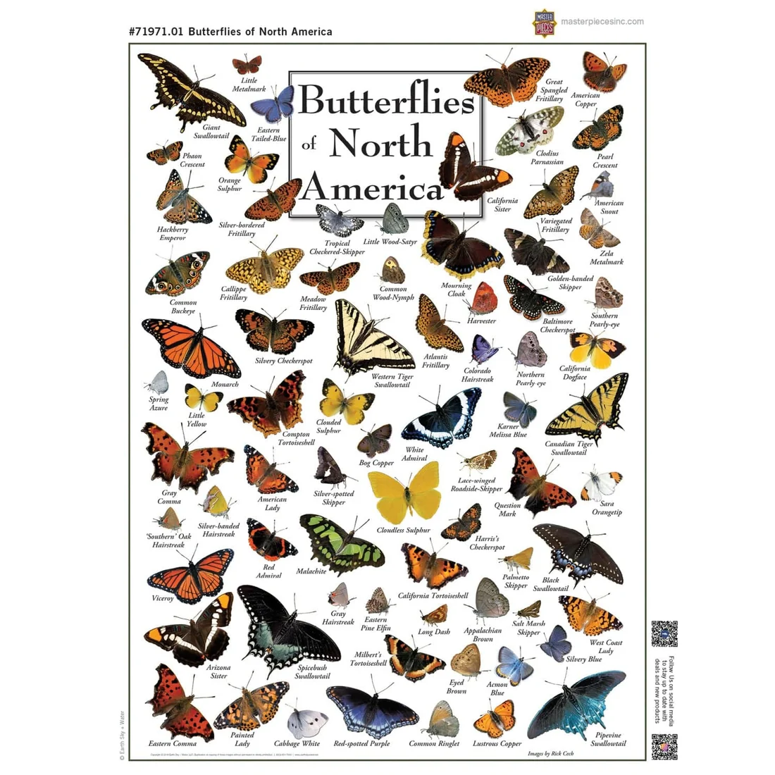 Butterflies of North America - 1000pc Puzzle | Masterpieces | MSP-71971.01