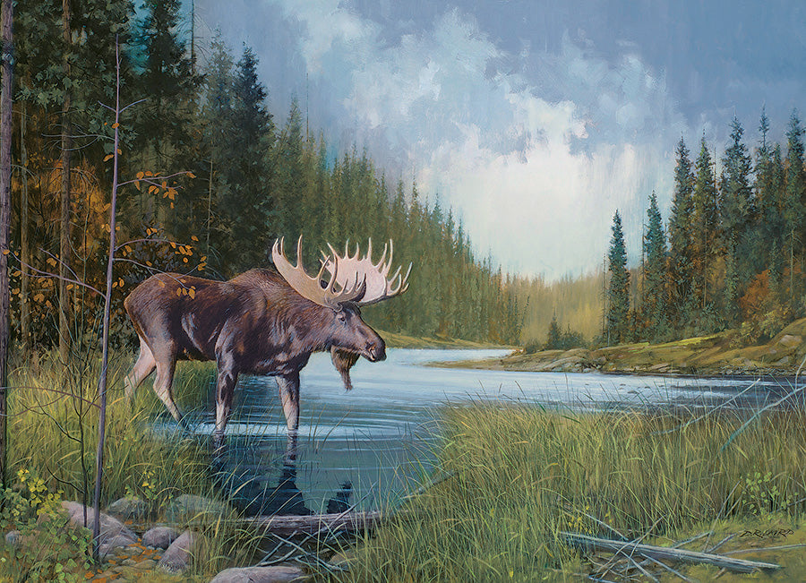 Cobble Hill Douglas Laird MOOSE LAKE 1000pc Jigsaw Puzzle 80133