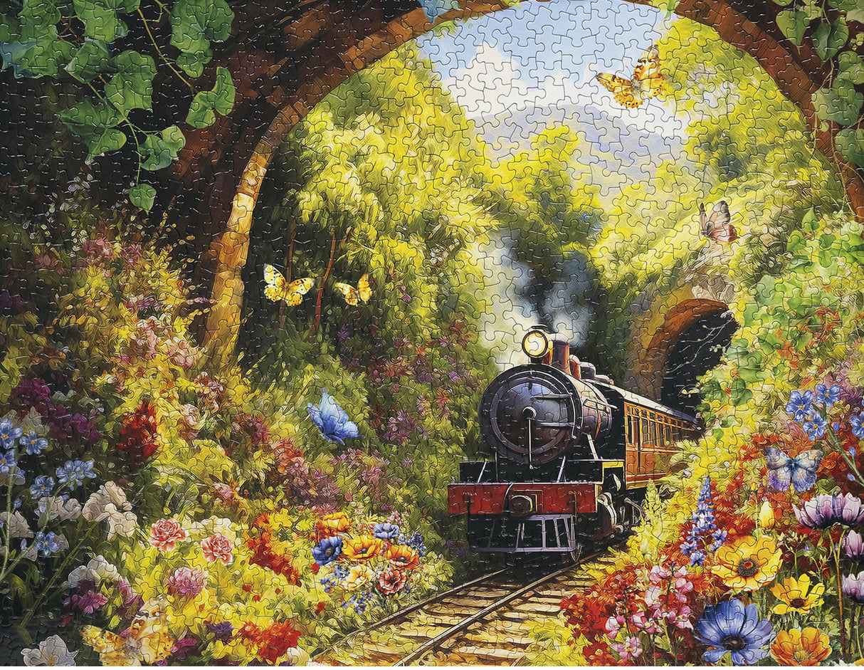 TUNNEL PASS 1000pc SPRINGBOK Jigsaw Puzzle 11205