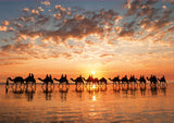 GOLDEN SUNSET AT CABLE BEACH 1000pc EDUCA Super Deluxe Jigsaw Puzzle 18492