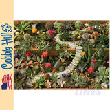 Succulent Garden Cobble Hill puzzle 1000pc CH40087