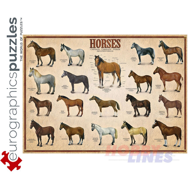 Horses 1000PC 6000-0078