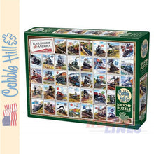 Load image into Gallery viewer, Railroads of America Cobble Hill puzzle 1000pc CH40232
