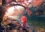 Sunrise On The Katsura River Japan 1000 Piece Jigsaw Puzzle | Educa | 18455