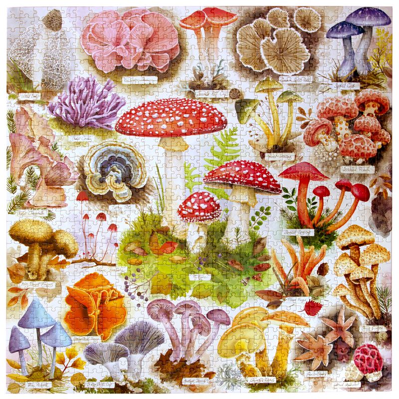 Bountiful Mushrooms 1000pc Puzzle | eeBoo | PZT501