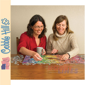 Colourful Rainbow COBBLE HILL 1000pc Shelly Davies jigsaw puzzle 40062