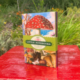 Fumiha’s Little Book Set | eeBoo | LBNBK1
