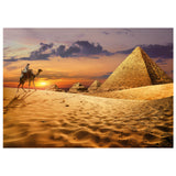 Camel In The Desert 1000 Piece Jigsaw Puzzle | Educa | 19643