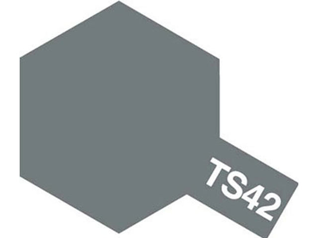 Tamiya Ts-42 Light Gun Metal Spray Paint