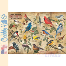 Load image into Gallery viewer, Popular Backyard Wild Birds of North America Cobble Hill puzzle 1000pc CH40179
