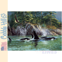 Load image into Gallery viewer, Orcas Cobble Hill puzzle 1000pc CH40183
