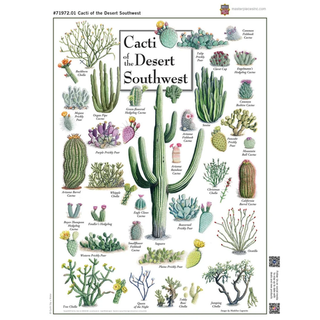 Cacti of the Desert Southwest - 1000pc Puzzle | Masterpieces | MSP-71972.01