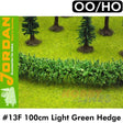 #13F Light Green Hedge 100cm | Jordan | 59553