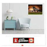 Trotting Horses 1000 Piece Jigsaw Puzzle | Educa | 19555
