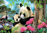 Morning Panda Bears 1000 Piece Jigsaw Puzzle | Educa | 17995
