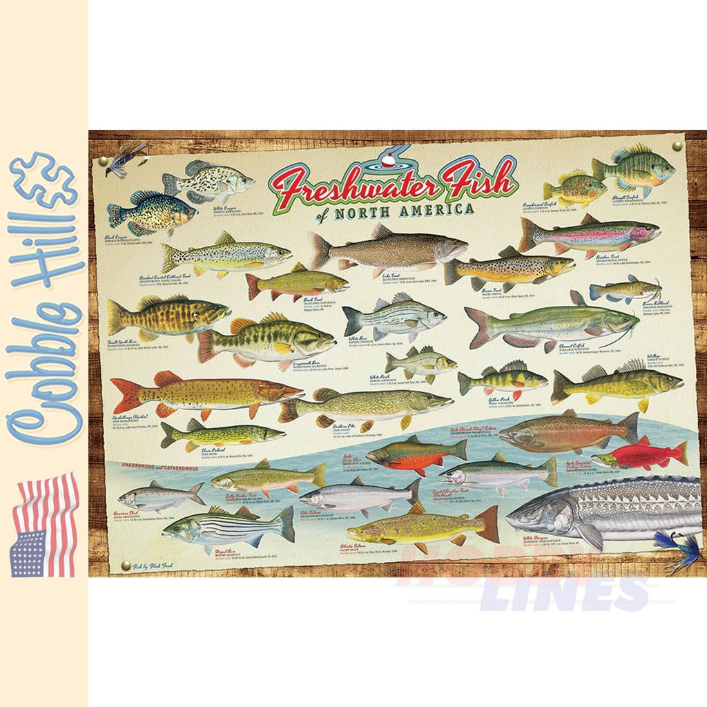 Freshwater Fish of North America Cobble Hill puzzle 1000pc CH40181