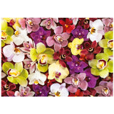 Orchid Collage 1000 Piece Jigsaw Puzzle | Educa | 19558