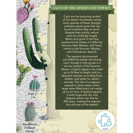 Cacti of the Desert Southwest - 1000pc Puzzle | Masterpieces | MSP-71972.01