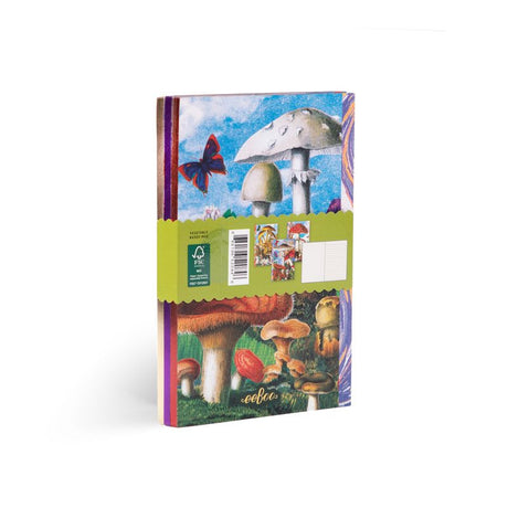 Fumiha’s Little Book Set | eeBoo | LBNBK1