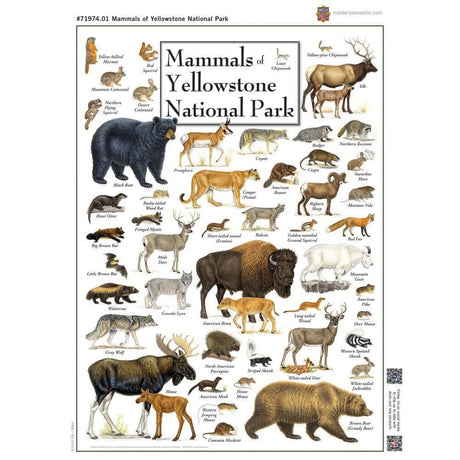 Mammals of Yellowstone Park - 1000pc Puzzle | Masterpieces | MSP-71974.01
