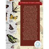Butterflies of North America - 1000pc Puzzle | Masterpieces | MSP-71971.01