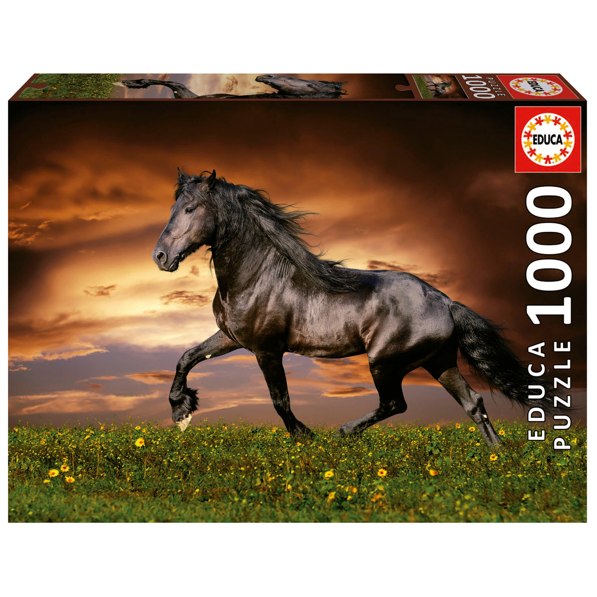 Trotting Horses 1000 Piece Jigsaw Puzzle | Educa | 19555