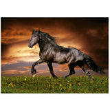 Trotting Horses 1000 Piece Jigsaw Puzzle | Educa | 19555