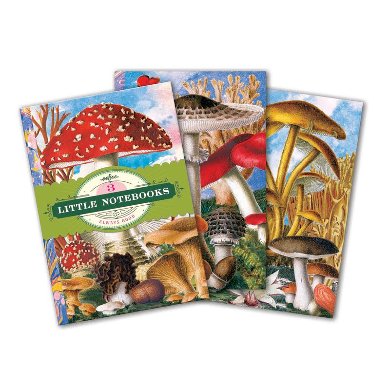 Fumiha’s Little Book Set | eeBoo | LBNBK1