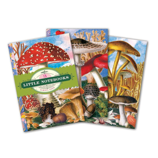 Fumiha’s Little Book Set | eeBoo | LBNBK1