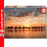 Golden Sunset At Cable Beach 1000 Piece Jigsaw Puzzle | Educa | 18492