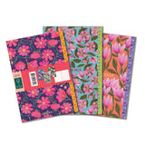 Birds Little Book Set | eeBoo | LBN525