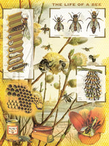 Bees & Honey 1000pc Puzzle | New York Puzzle Company | NPZPD2416