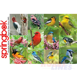 BIRDS OF A FEATHER 500 piece SPRINGBOK Jigsaw Puzzle Random Cut Super Deluxe