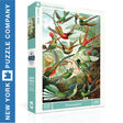 HUMMINGBIRDS New York Puzzle Company 1000pc 