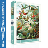 HUMMINGBIRDS New York Puzzle Company 1000pc 