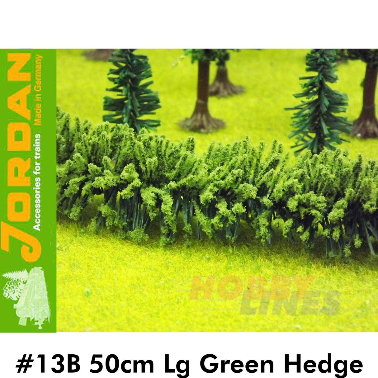 #13B 50cm Large Green Hedge | Jordan | 59550