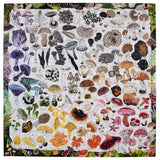 Mushroom Rainbow  1000 pc Puzzle | eeBoo | PZTMRW