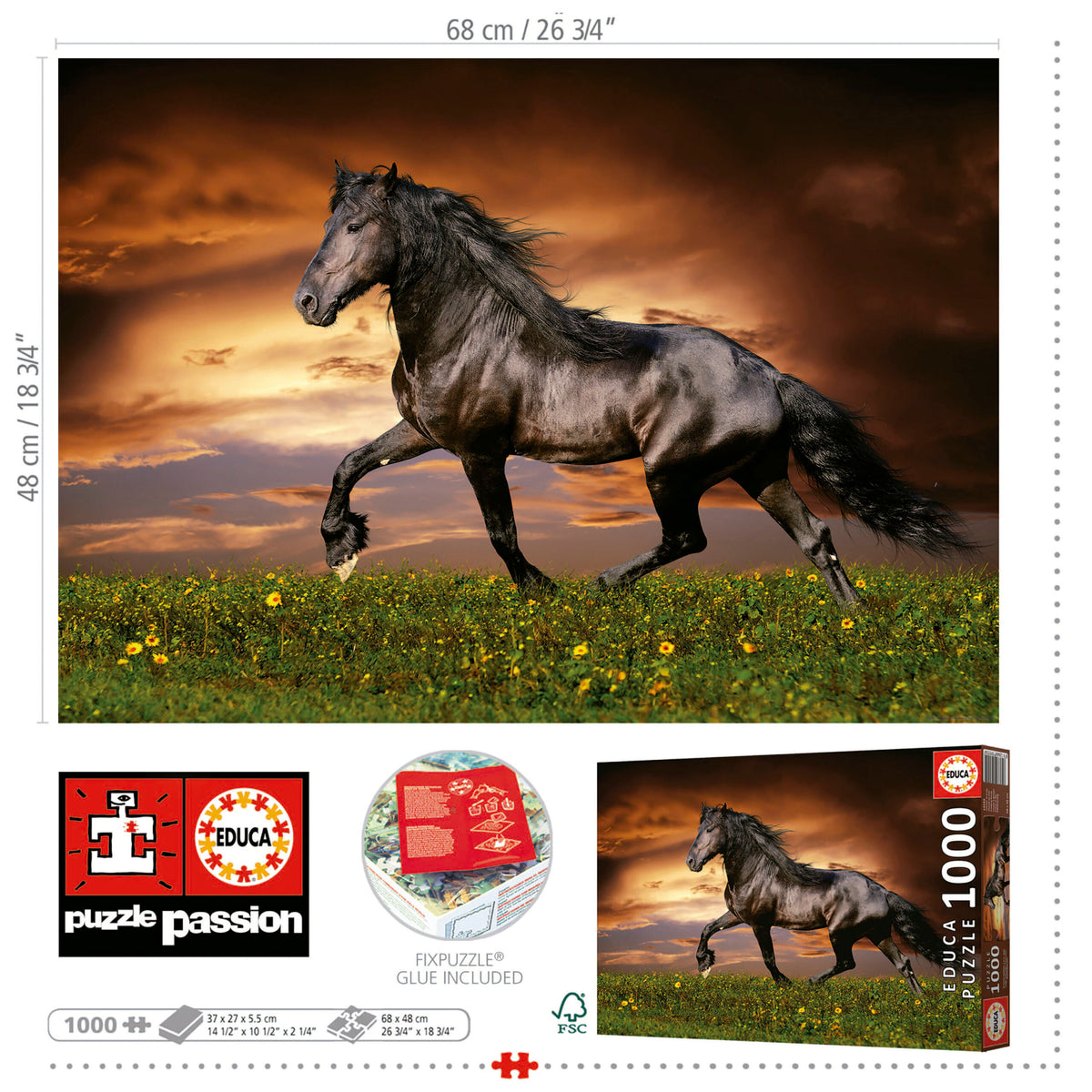 Trotting Horses 1000 Piece Jigsaw Puzzle | Educa | 19555