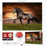 Trotting Horses 1000 Piece Jigsaw Puzzle | Educa | 19555