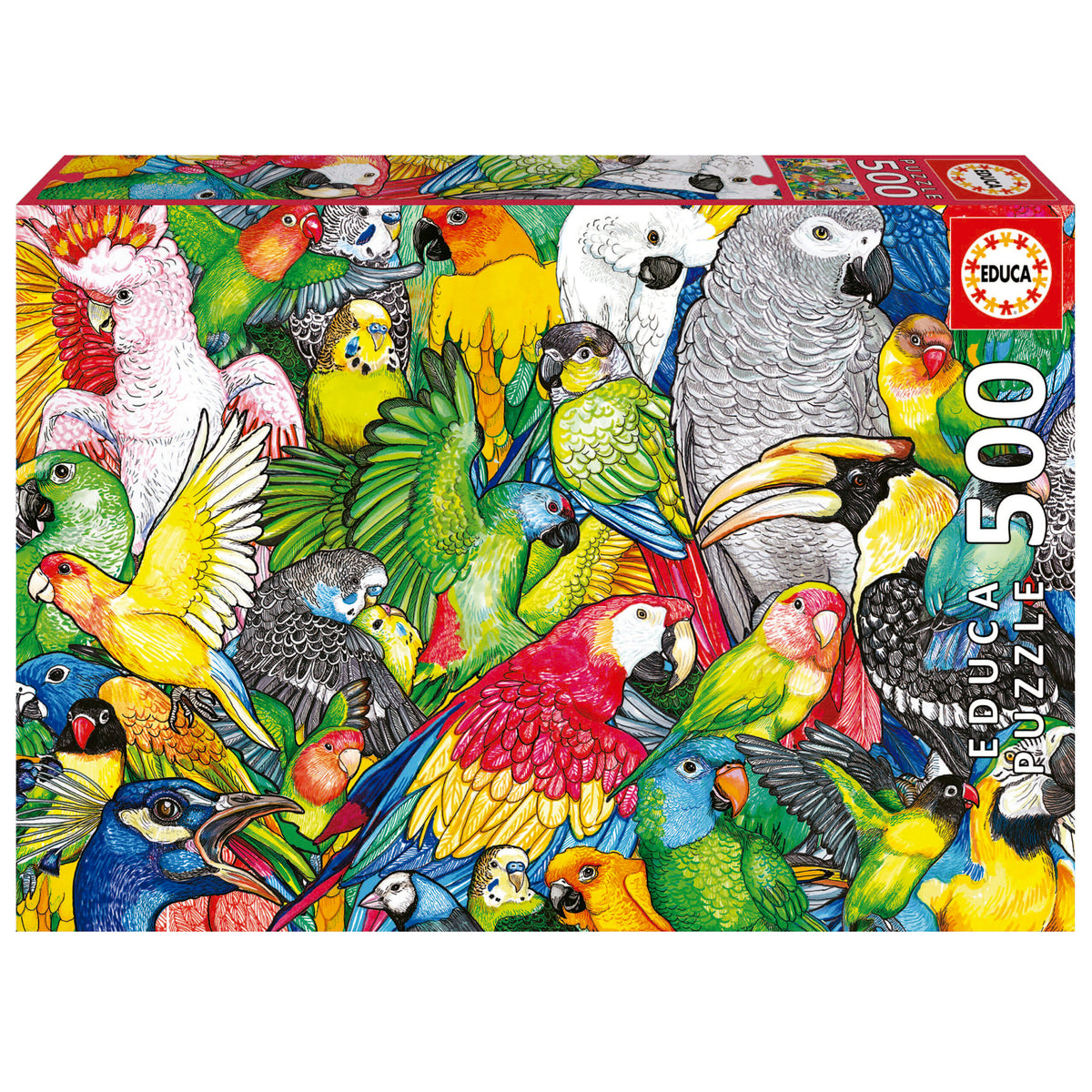 Parrots 500 Piece Jigsaw Puzzle | Educa | 19547